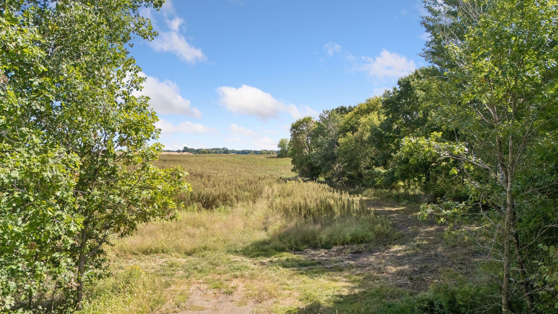 View of Land at TBD (L14-SM East) Yellowpine Court, Isanti MN 55040, Isanti (18 of 24) - Mike Wilen | Minnesota Team Real Estate