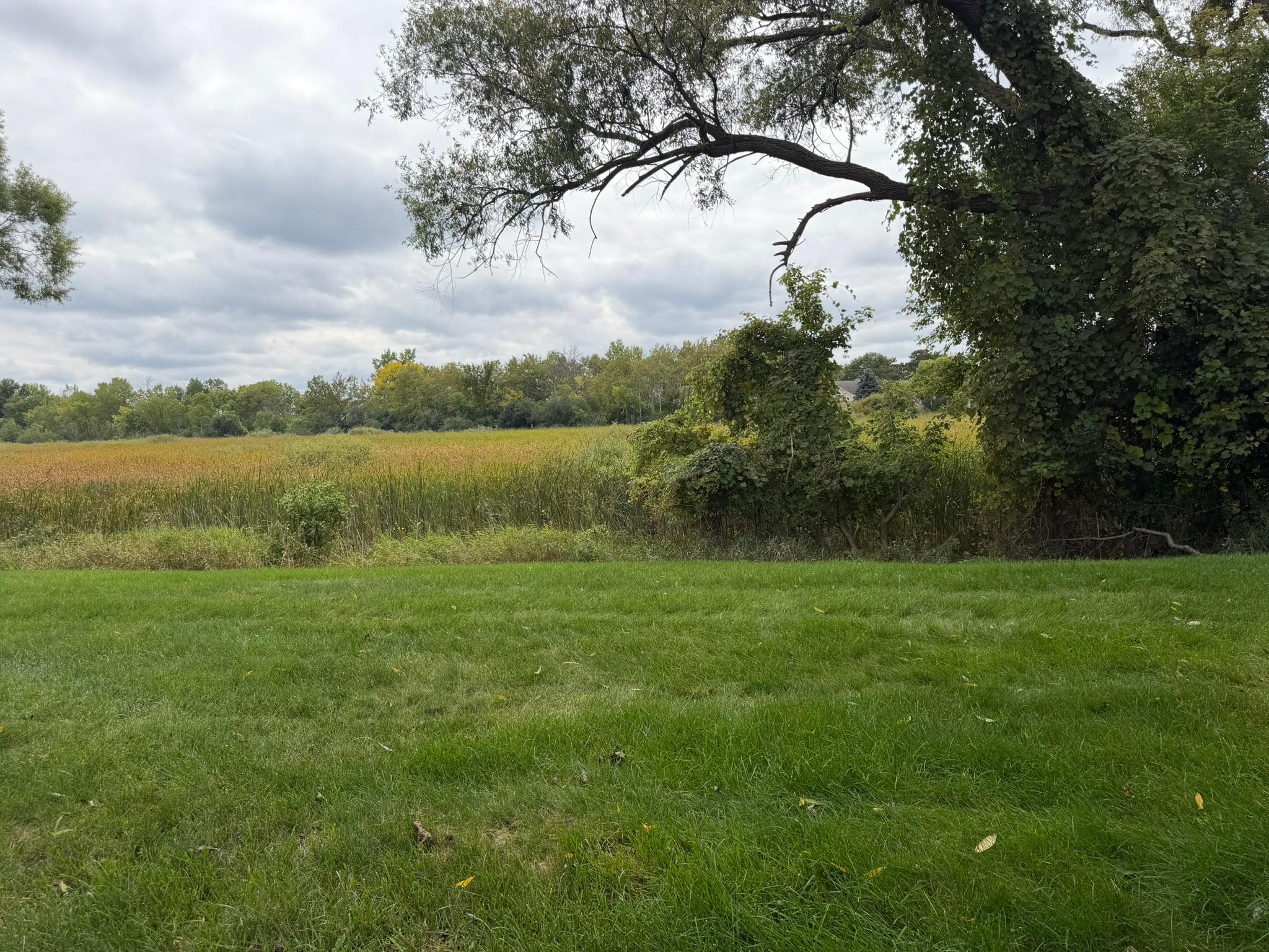 View of Residential at 1420 Cleveland Street, Anoka MN 55303, Anoka (26 of 45) - Mike Wilen | Minnesota Team Real Estate