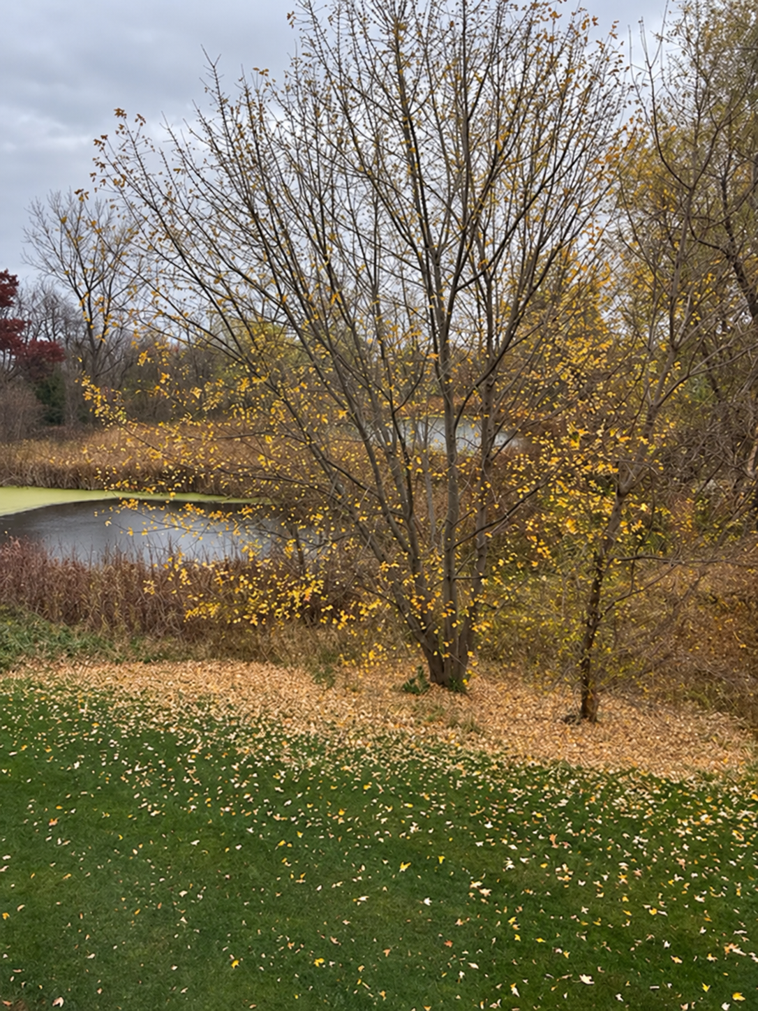 View of Residential at 26535 Evergreen Court, Elko New Market MN 55020, Elko New Market (72 of 74) - Mike Wilen | Minnesota Team Real Estate