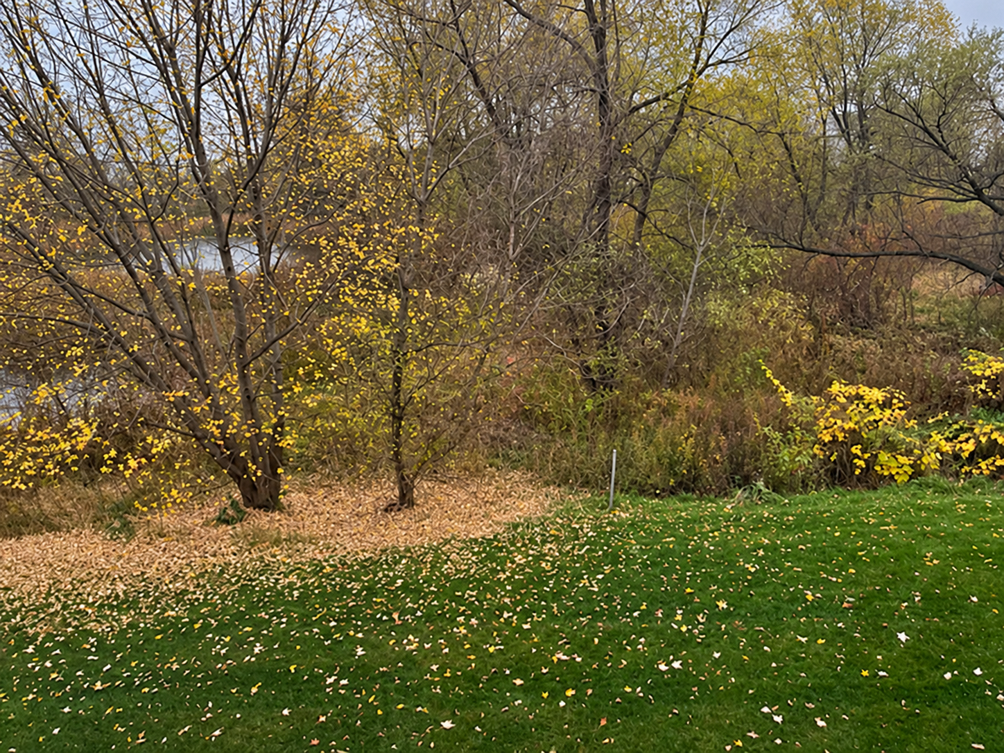 View of Residential at 26535 Evergreen Court, Elko New Market MN 55020, Elko New Market (74 of 74) - Mike Wilen | Minnesota Team Real Estate