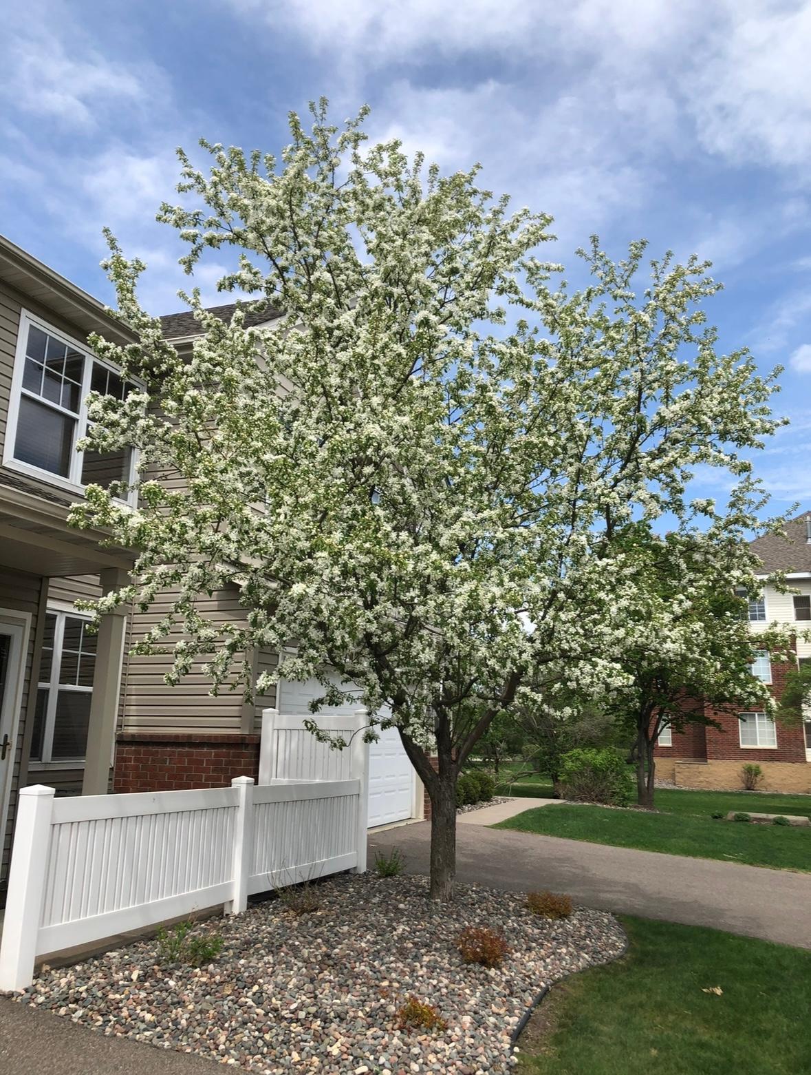 View of Residential at 9153 Holly Lane, Maple Grove MN 55311, Maple Grove (24 of 30) - Mike Wilen | Minnesota Team Real Estate