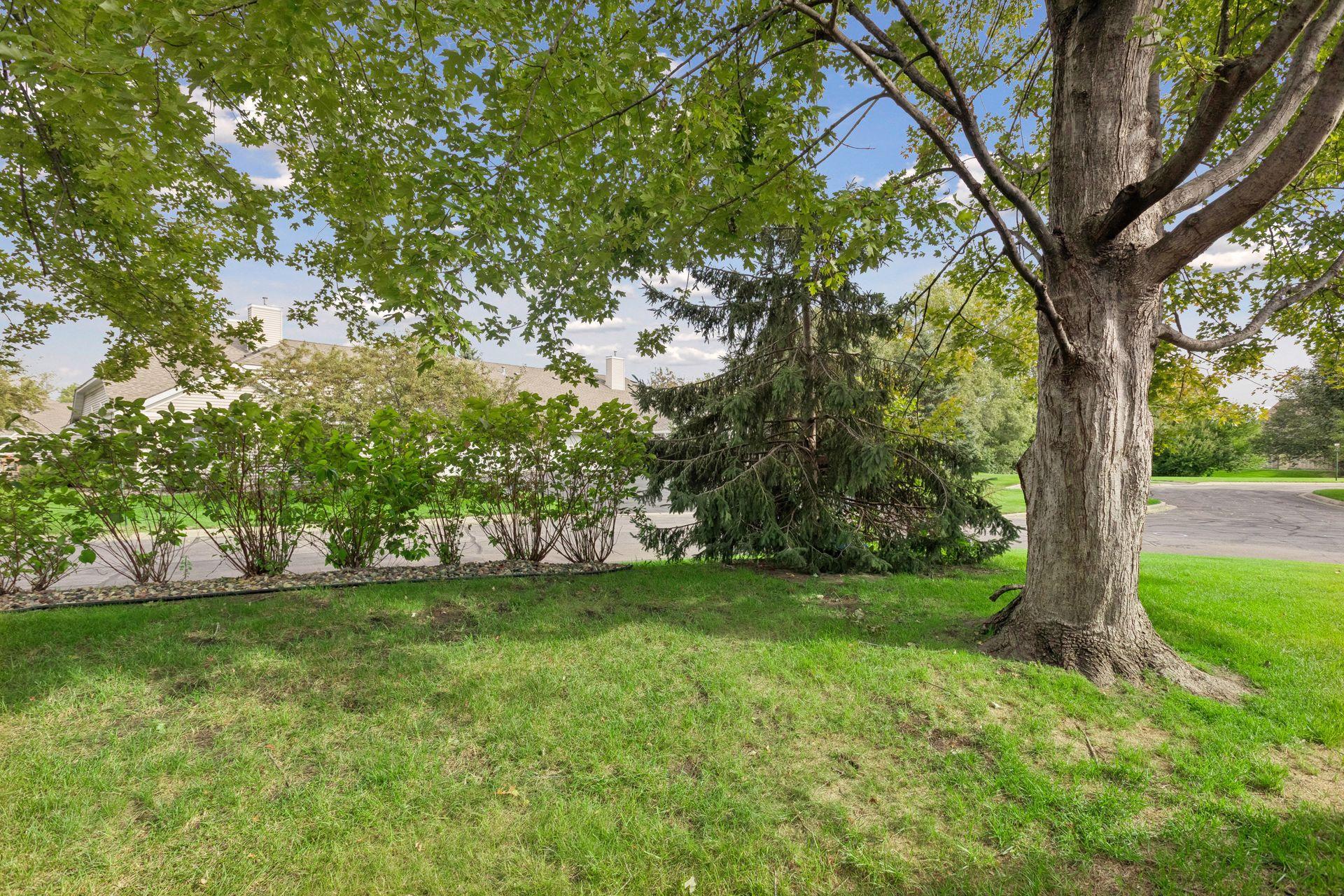 View of Residential at 8605 Oxford Lane, Brooklyn Park MN 55443, Brooklyn Park (20 of 22) - Mike Wilen | Minnesota Team Real Estate