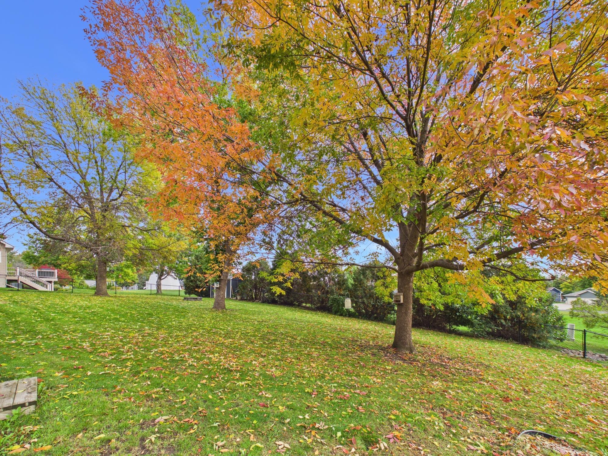 View of Residential at 505 Ironwood Avenue, New Prague MN 56071, New Prague (40 of 42) - Mike Wilen | Minnesota Team Real Estate