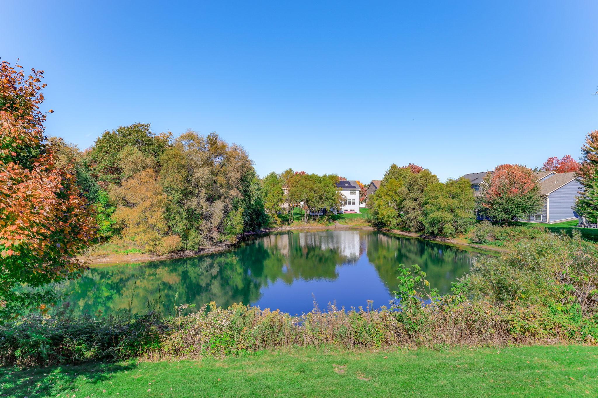 View of Residential at 12734 Alamo Street, Blaine MN 55449, Blaine (60 of 65) - Mike Wilen | Minnesota Team Real Estate