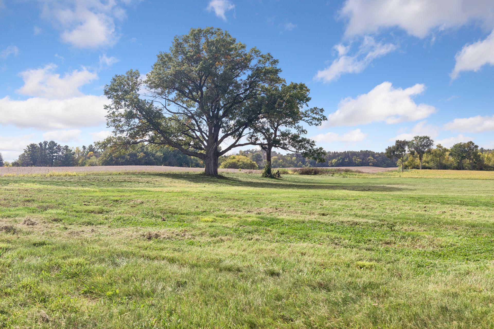 View of Residential at 10420 Penfield Avenue, Stillwater MN 55082, Stillwater (129 of 171) - Mike Wilen | Minnesota Team Real Estate
