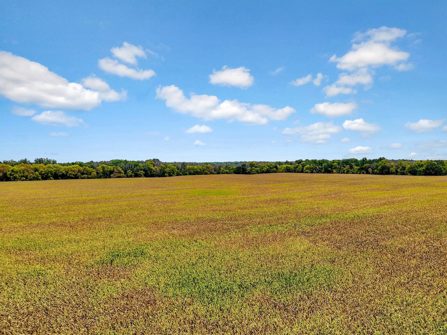View of Land at 122xx-140 Maxwell, Chisago City MN 55013, Chisago City (10 of 27) - Mike Wilen | Minnesota Team Real Estate