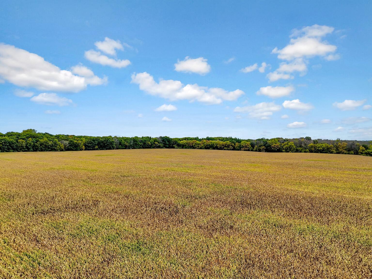 View of Residential Lot at 122xx-140 Maxwell, Chisago City - Mike Wilen | Minnesota Team Real Estate