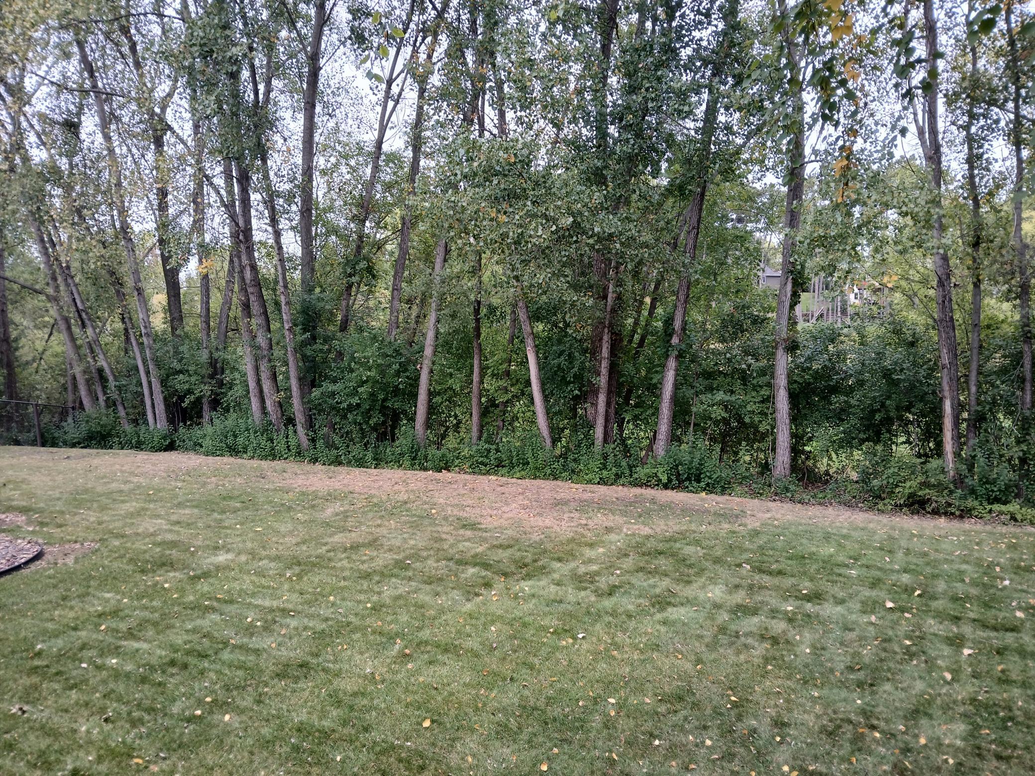 View of Residential at 9040 Parkside Drive, Woodbury MN 55125, Woodbury (3 of 3) - Mike Wilen | Minnesota Team Real Estate