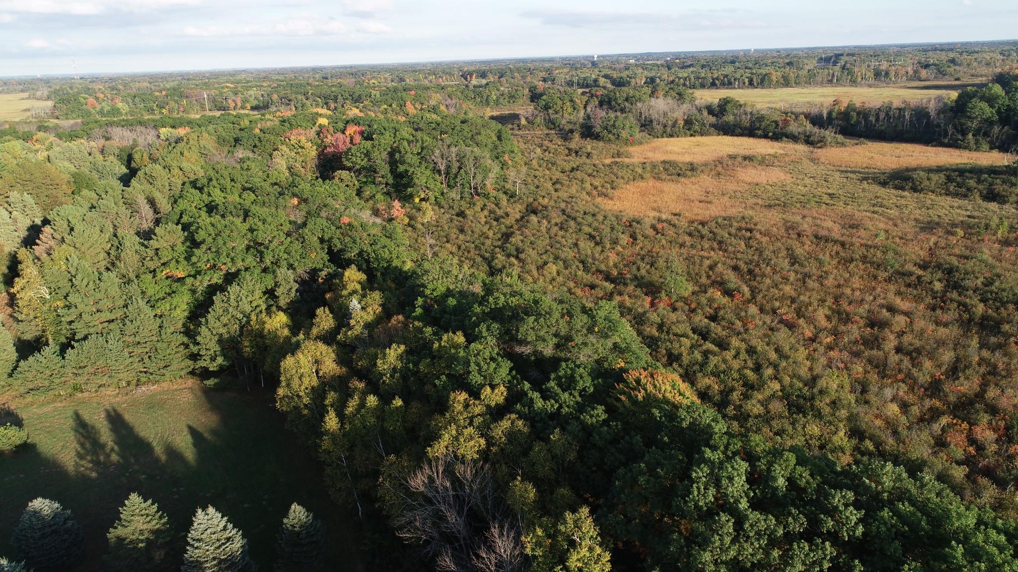 View of Land at XXXX 217th Avenue, Linwood Twp MN 55005, Linwood Twp (2 of 35) - Mike Wilen | Minnesota Team Real Estate