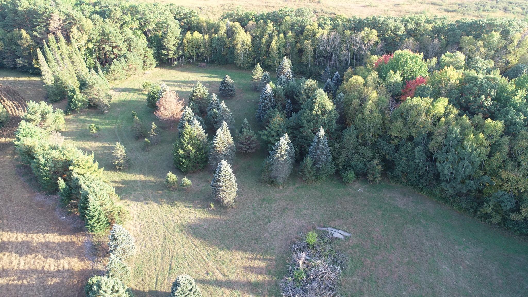 View of Land at XXXX 217th Avenue, Linwood Twp MN 55005, Linwood Twp (7 of 35) - Mike Wilen | Minnesota Team Real Estate