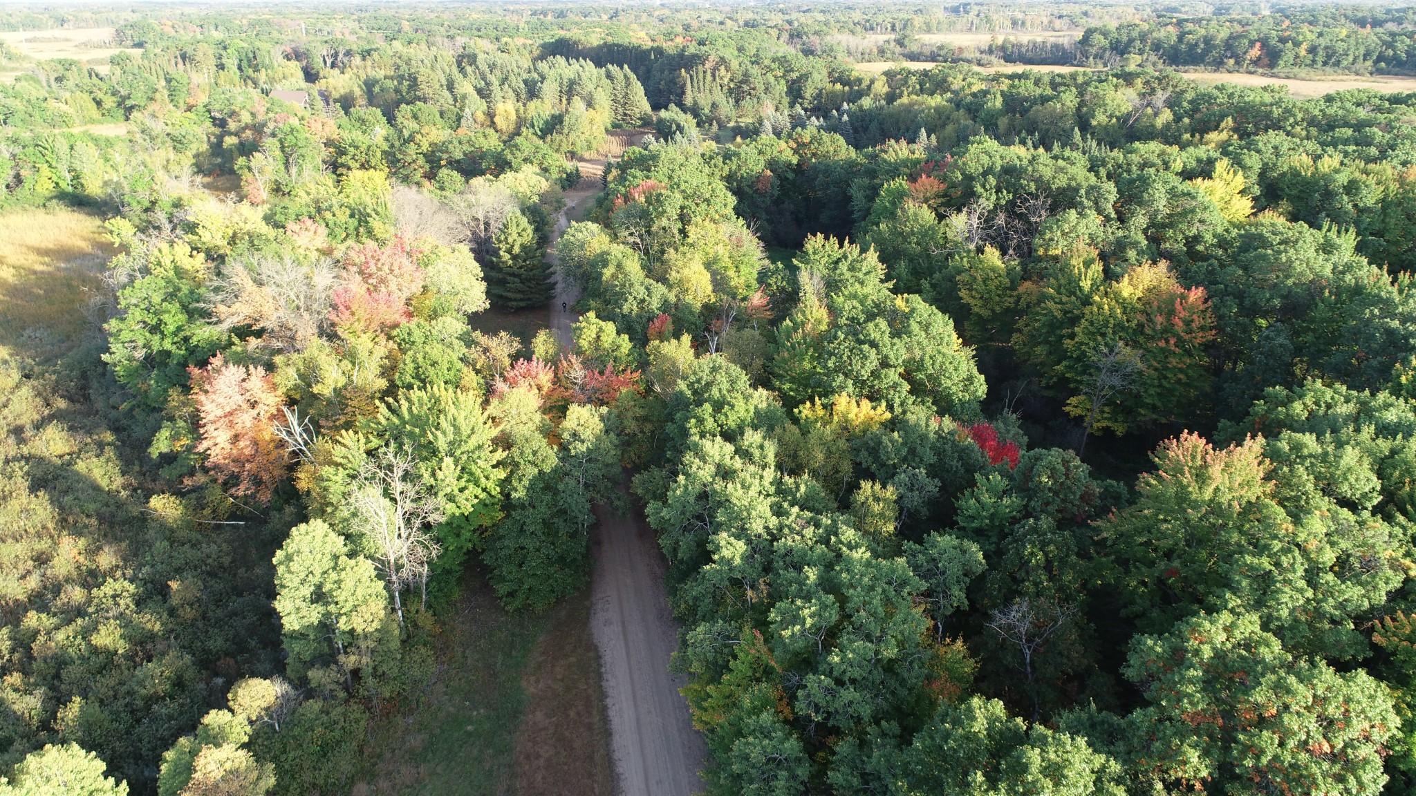 View of Land at XXXX 217th Avenue, Linwood Twp MN 55005, Linwood Twp (5 of 35) - Mike Wilen | Minnesota Team Real Estate