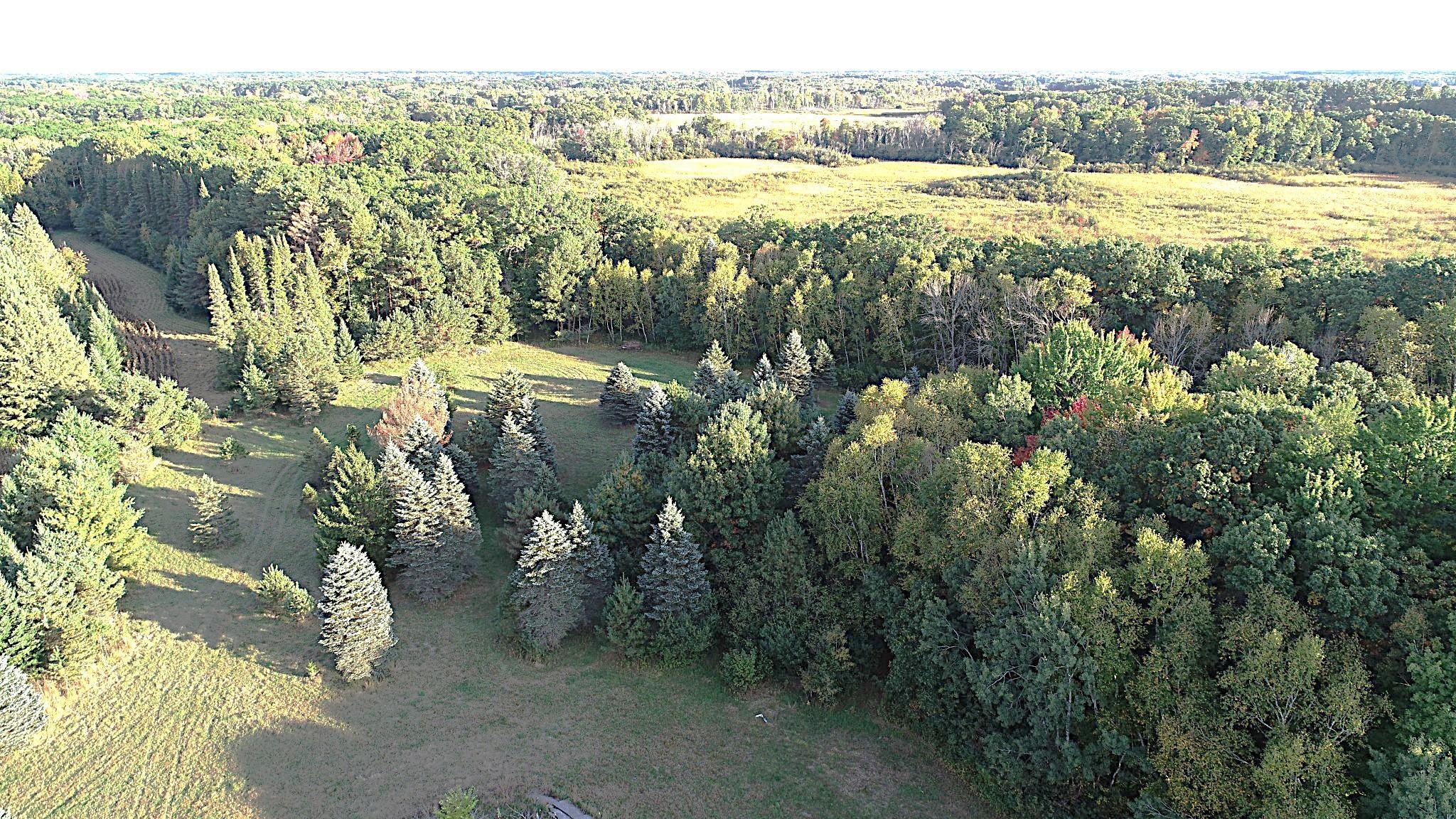View of Land at XXXX 217th Avenue, Linwood Twp - Mike Wilen | Minnesota Team Real Estate