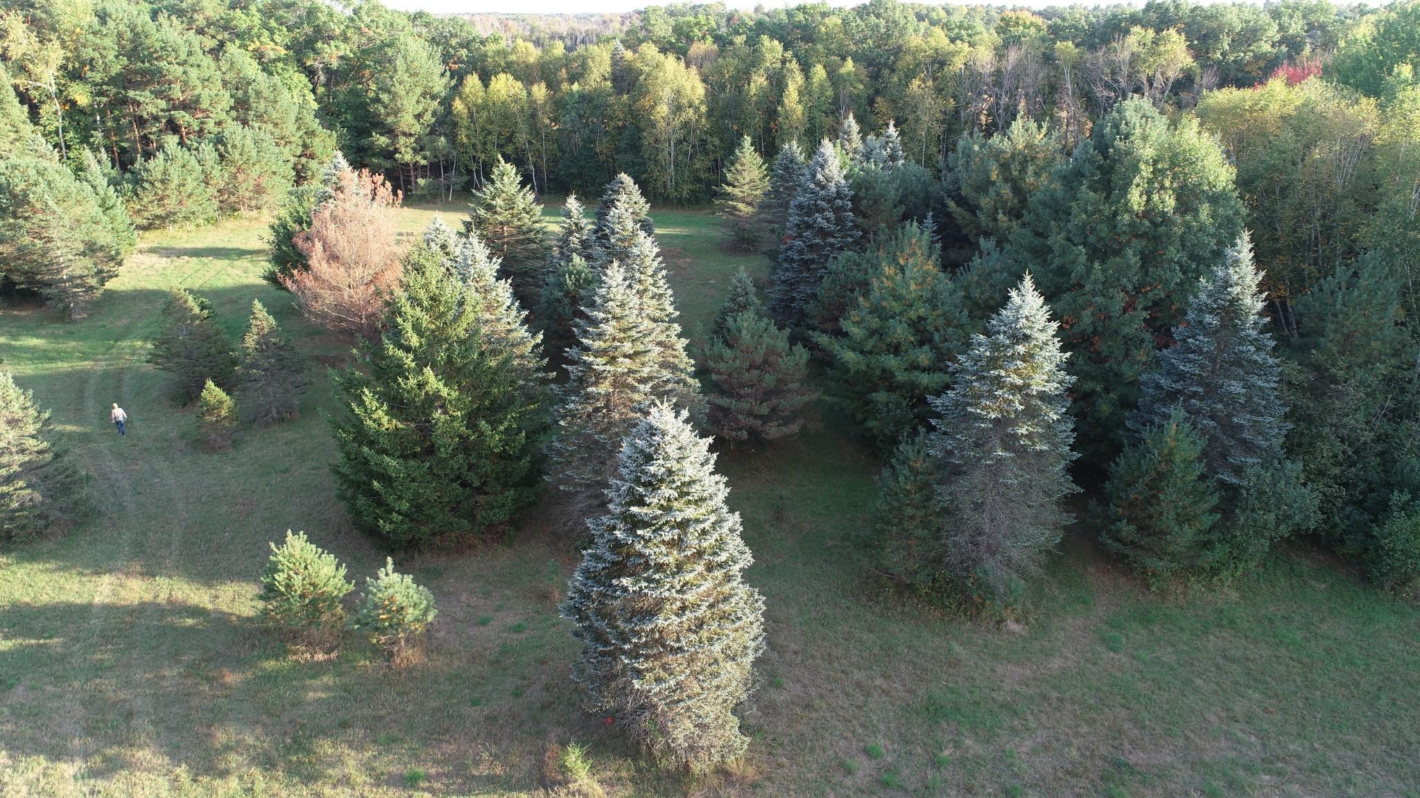 View of Land at XXXX 217th Avenue, Linwood Twp MN 55005, Linwood Twp (9 of 35) - Mike Wilen | Minnesota Team Real Estate
