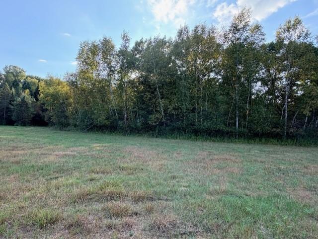 View of Land at XXXX 217th Avenue, Linwood Twp MN 55005, Linwood Twp (28 of 35) - Mike Wilen | Minnesota Team Real Estate