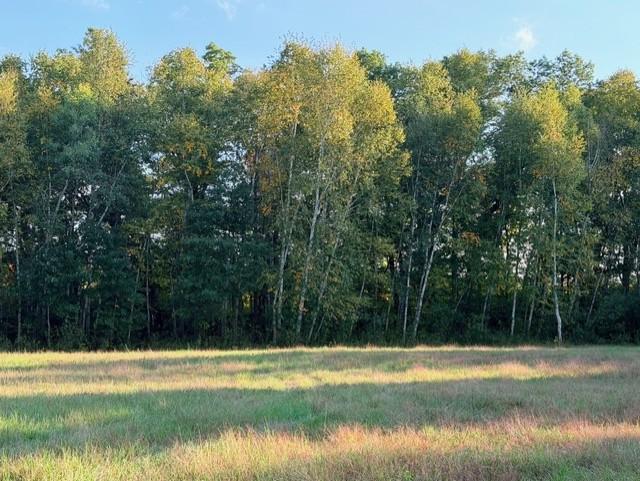 View of Land at XXXX 217th Avenue, Linwood Twp MN 55005, Linwood Twp (27 of 35) - Mike Wilen | Minnesota Team Real Estate
