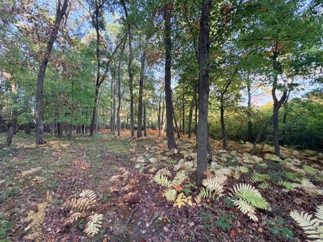 View of Land at XXXX 217th Avenue, Linwood Twp MN 55005, Linwood Twp (26 of 35) - Mike Wilen | Minnesota Team Real Estate