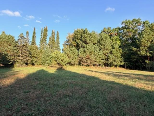 View of Land at XXXX 217th Avenue, Linwood Twp MN 55005, Linwood Twp (25 of 35) - Mike Wilen | Minnesota Team Real Estate