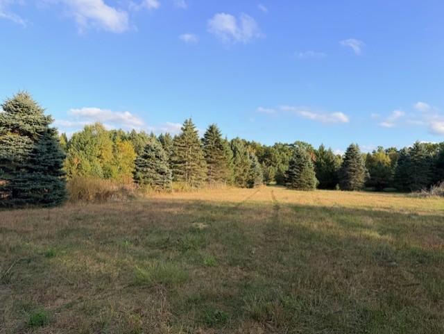 View of Land at XXXX 217th Avenue, Linwood Twp MN 55005, Linwood Twp (24 of 35) - Mike Wilen | Minnesota Team Real Estate