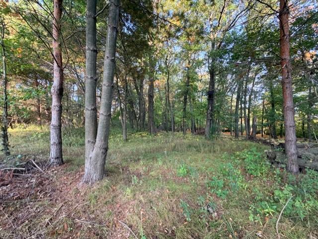 View of Land at XXXX 217th Avenue, Linwood Twp MN 55005, Linwood Twp (23 of 35) - Mike Wilen | Minnesota Team Real Estate