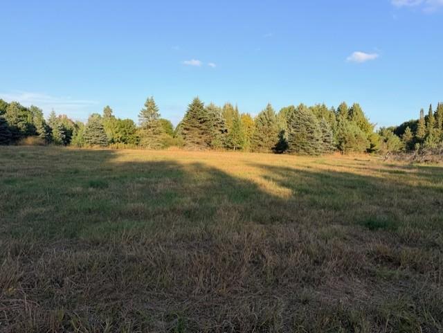 View of Land at XXXX 217th Avenue, Linwood Twp MN 55005, Linwood Twp (22 of 35) - Mike Wilen | Minnesota Team Real Estate