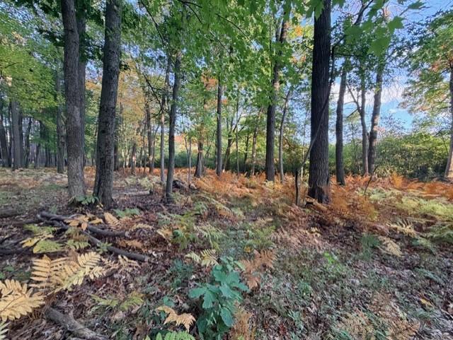 View of Land at XXXX 217th Avenue, Linwood Twp MN 55005, Linwood Twp (21 of 35) - Mike Wilen | Minnesota Team Real Estate