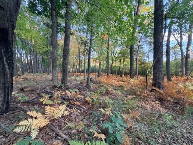 View of Land at XXXX 217th Avenue, Linwood Twp MN 55005, Linwood Twp (20 of 35) - Mike Wilen | Minnesota Team Real Estate