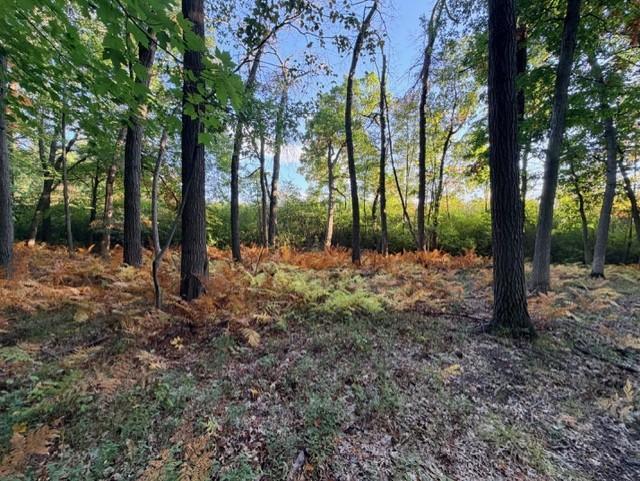 View of Land at XXXX 217th Avenue, Linwood Twp MN 55005, Linwood Twp (19 of 35) - Mike Wilen | Minnesota Team Real Estate
