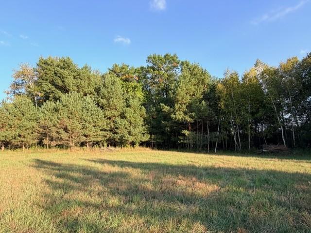 View of Land at XXXX 217th Avenue, Linwood Twp MN 55005, Linwood Twp (18 of 35) - Mike Wilen | Minnesota Team Real Estate