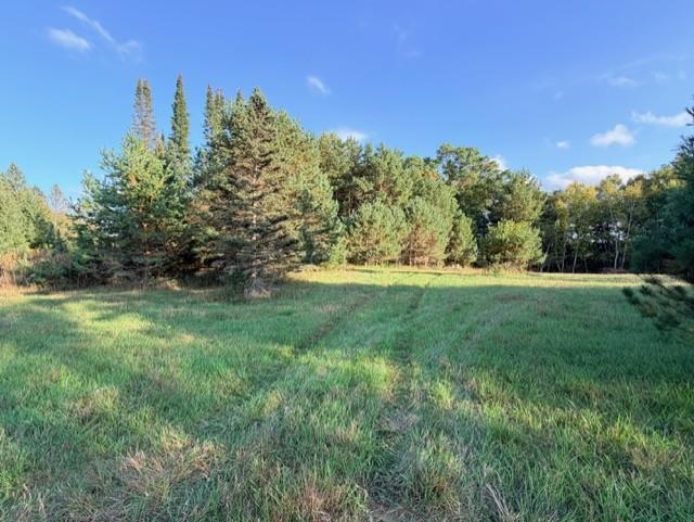 View of Land at XXXX 217th Avenue, Linwood Twp MN 55005, Linwood Twp (17 of 35) - Mike Wilen | Minnesota Team Real Estate