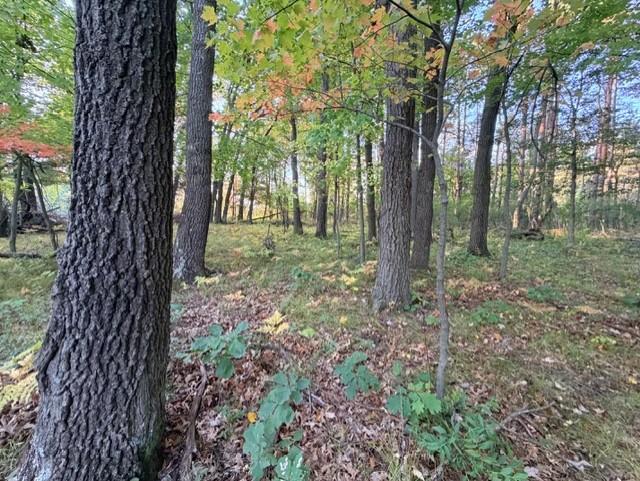 View of Land at XXXX 217th Avenue, Linwood Twp MN 55005, Linwood Twp (16 of 35) - Mike Wilen | Minnesota Team Real Estate