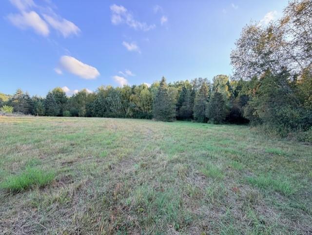View of Land at XXXX 217th Avenue, Linwood Twp MN 55005, Linwood Twp (15 of 35) - Mike Wilen | Minnesota Team Real Estate
