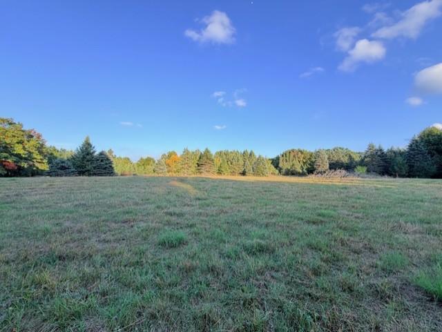 View of Land at XXXX 217th Avenue, Linwood Twp MN 55005, Linwood Twp (14 of 35) - Mike Wilen | Minnesota Team Real Estate
