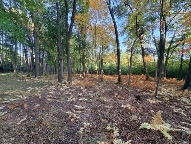 View of Land at XXXX 217th Avenue, Linwood Twp MN 55005, Linwood Twp (13 of 35) - Mike Wilen | Minnesota Team Real Estate