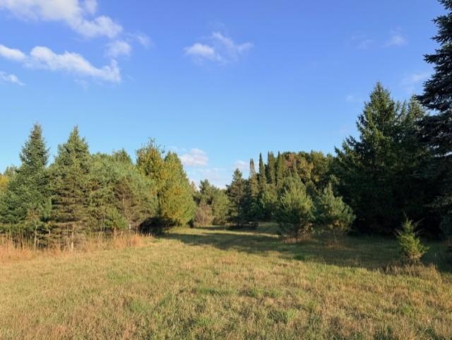 View of Land at XXXX 217th Avenue, Linwood Twp MN 55005, Linwood Twp (12 of 35) - Mike Wilen | Minnesota Team Real Estate