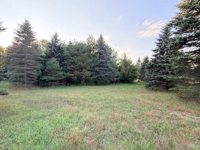 View of Land at XXXX 217th Avenue, Linwood Twp MN 55005, Linwood Twp (11 of 35) - Mike Wilen | Minnesota Team Real Estate