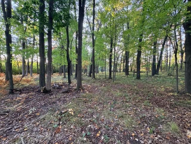 View of Land at XXXX 217th Avenue, Linwood Twp MN 55005, Linwood Twp (10 of 35) - Mike Wilen | Minnesota Team Real Estate