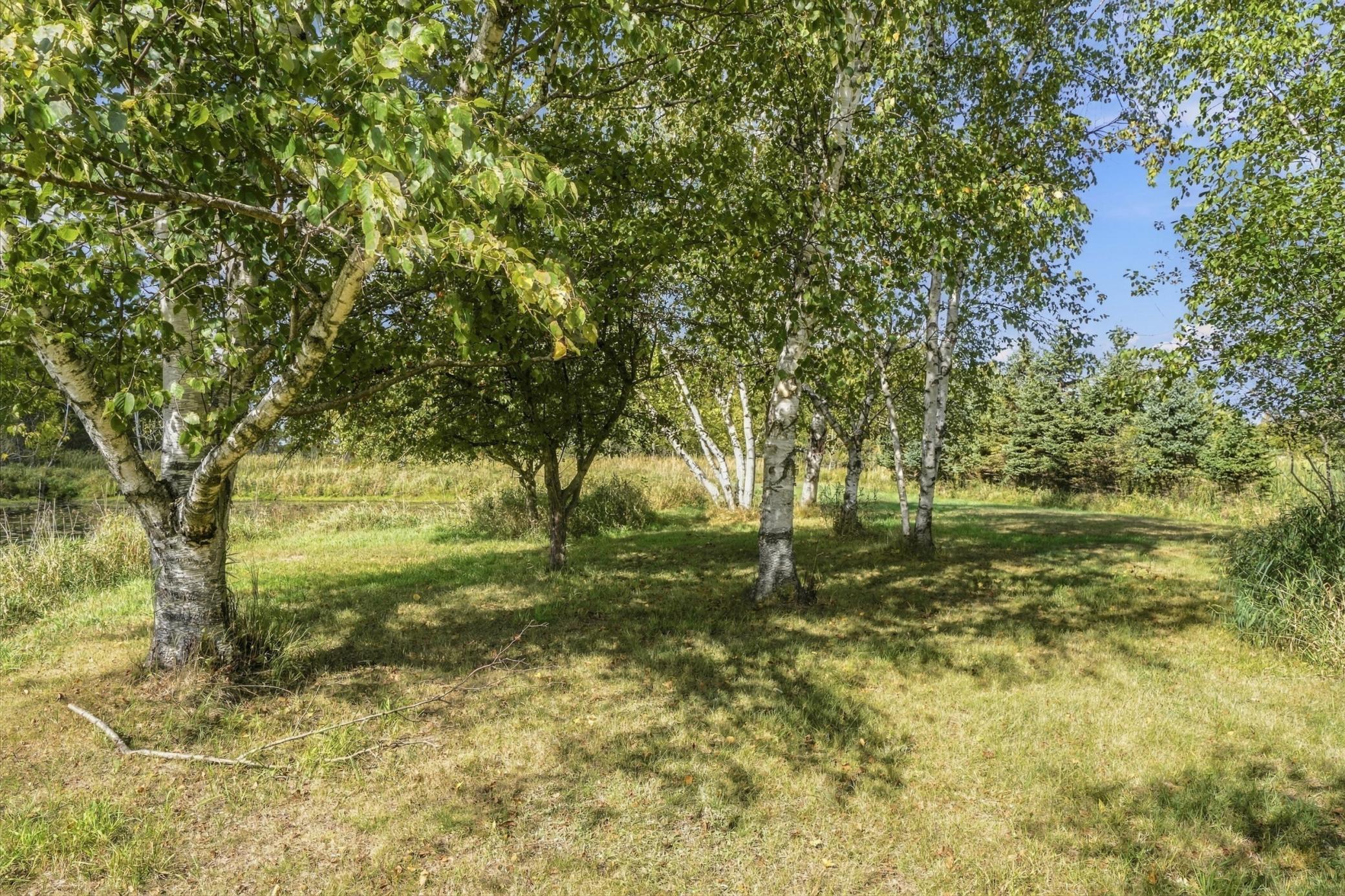 View of Residential at 4423 Fawn Lake Drive, East Bethel MN 55005, East Bethel (46 of 49) - Mike Wilen | Minnesota Team Real Estate