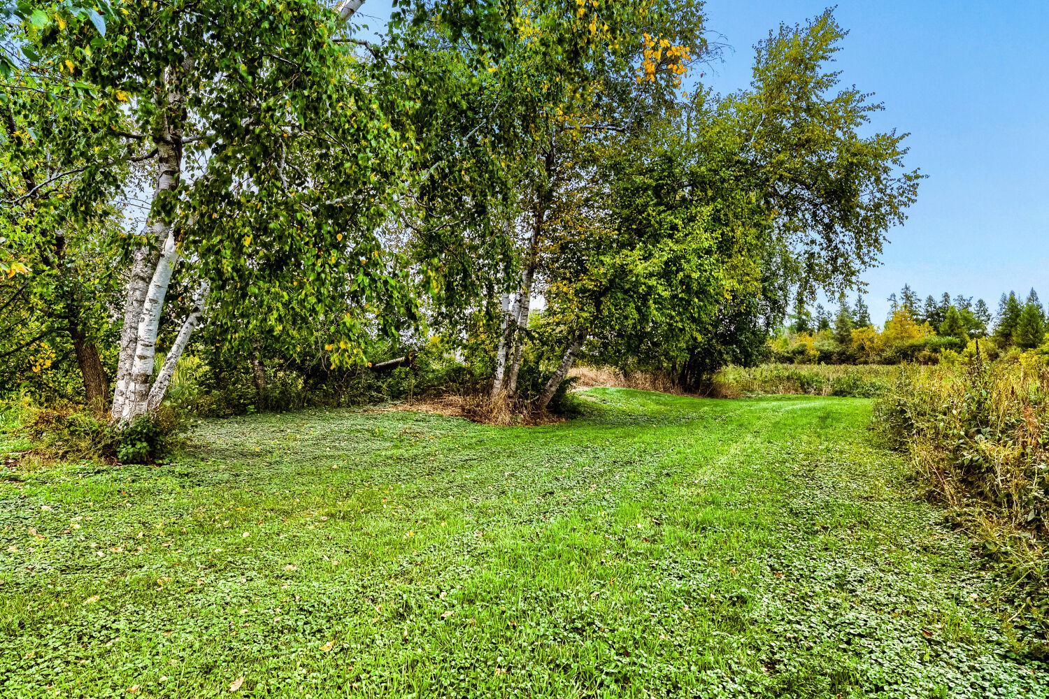View of Residential at 18335 Imperial Avenue, Forest Lake MN 55025, Forest Lake (13 of 53) - Mike Wilen | Minnesota Team Real Estate