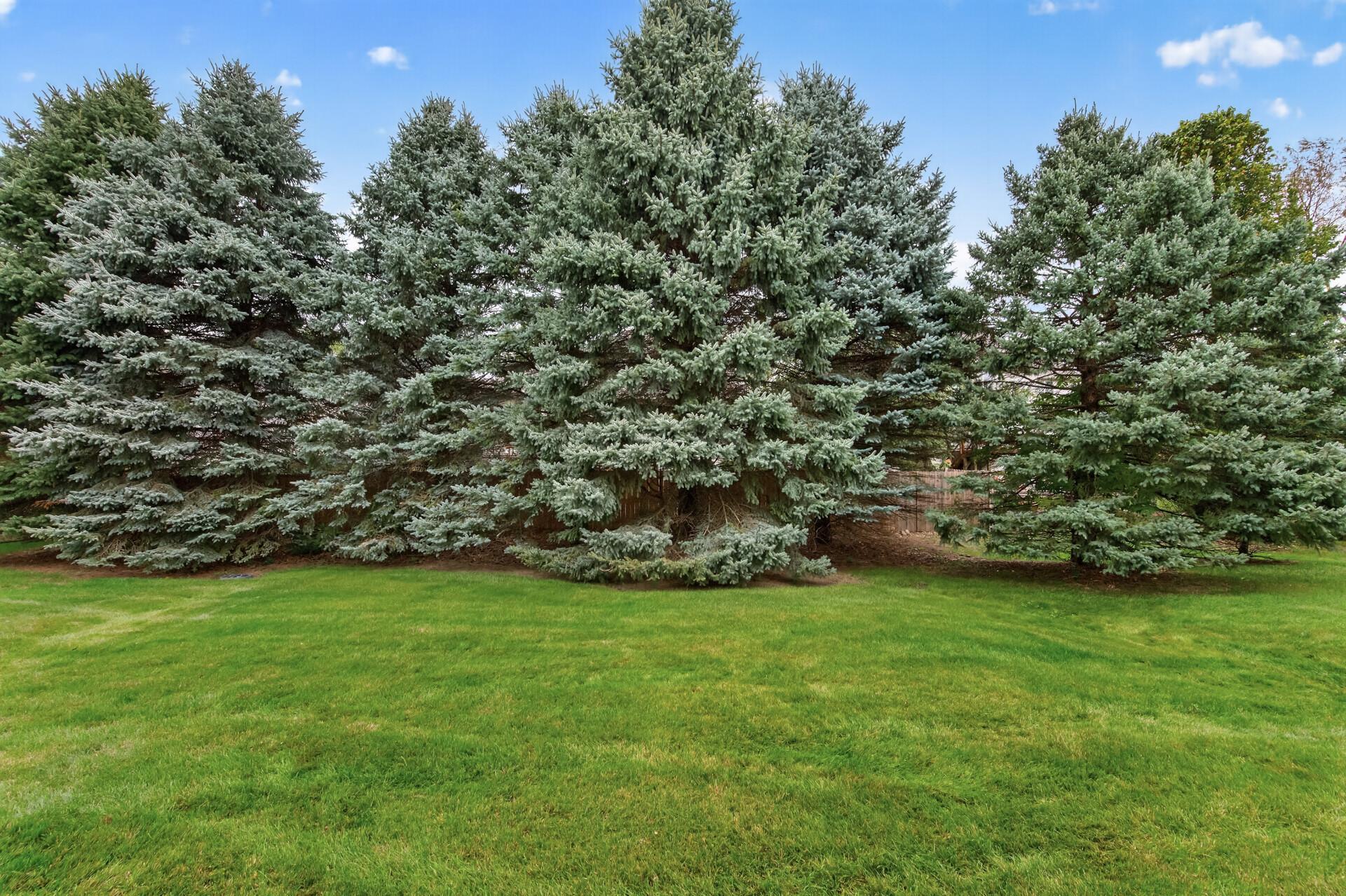 View of Residential at 10154 Country Club Curve, Woodbury MN 55129, Woodbury (21 of 21) - Mike Wilen | Minnesota Team Real Estate