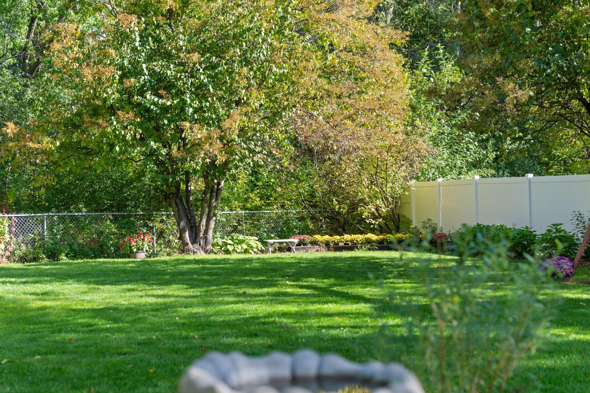 View of Residential at 11444 100th Place, Maple Grove MN 55369, Maple Grove (40 of 64) - Mike Wilen | Minnesota Team Real Estate