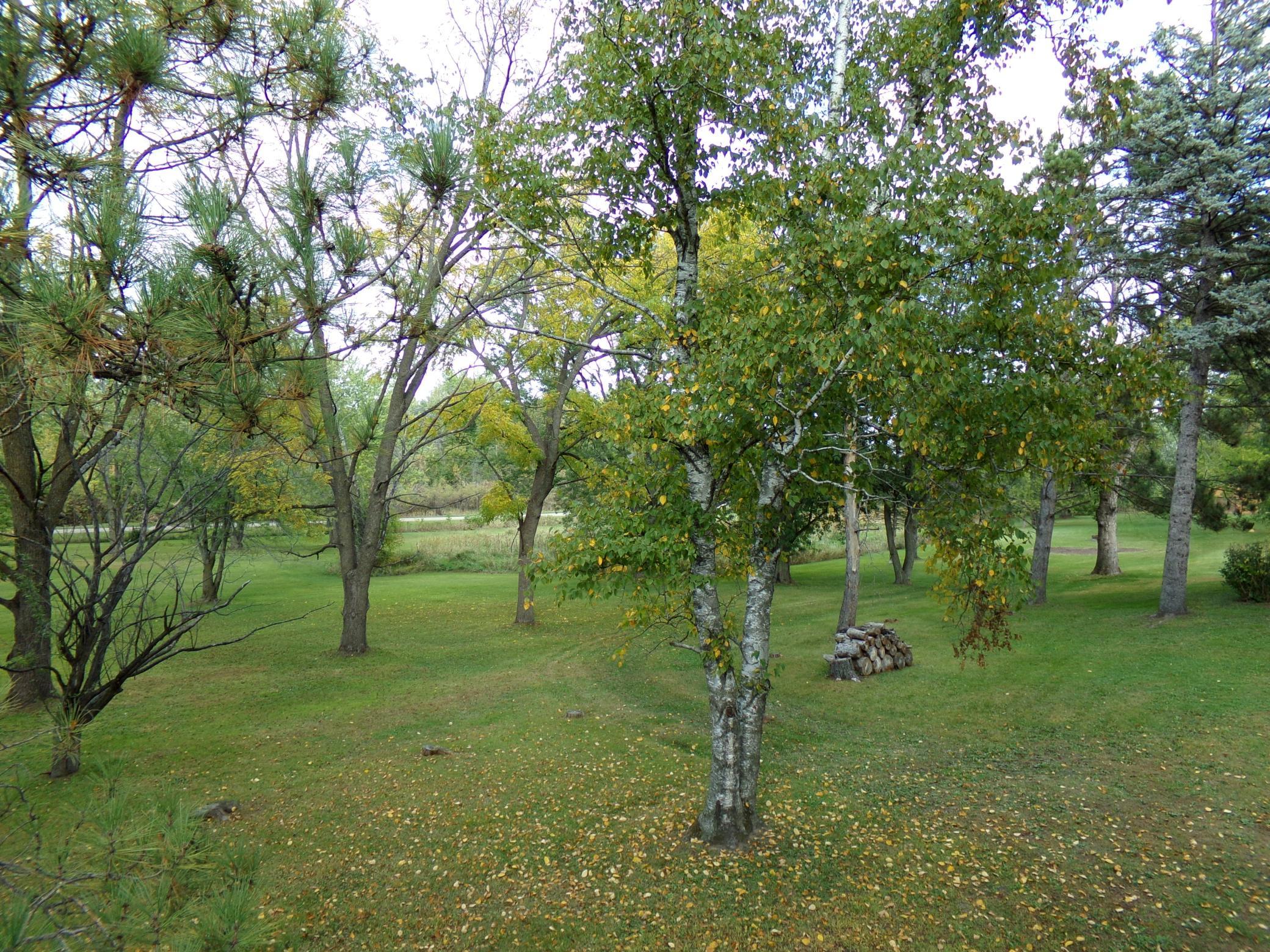 View of Residential at 18323 Elmcrest Avenue, Forest Lake MN 55025, Forest Lake (7 of 40) - Mike Wilen | Minnesota Team Real Estate
