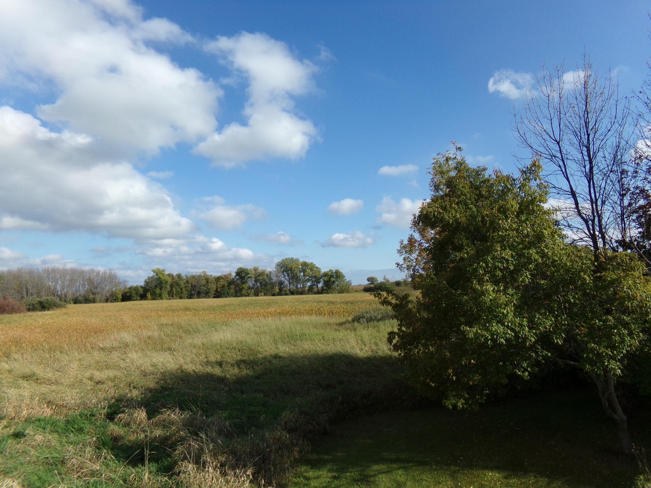 View of Residential at 18323 Elmcrest Avenue, Forest Lake MN 55025, Forest Lake (29 of 40) - Mike Wilen | Minnesota Team Real Estate