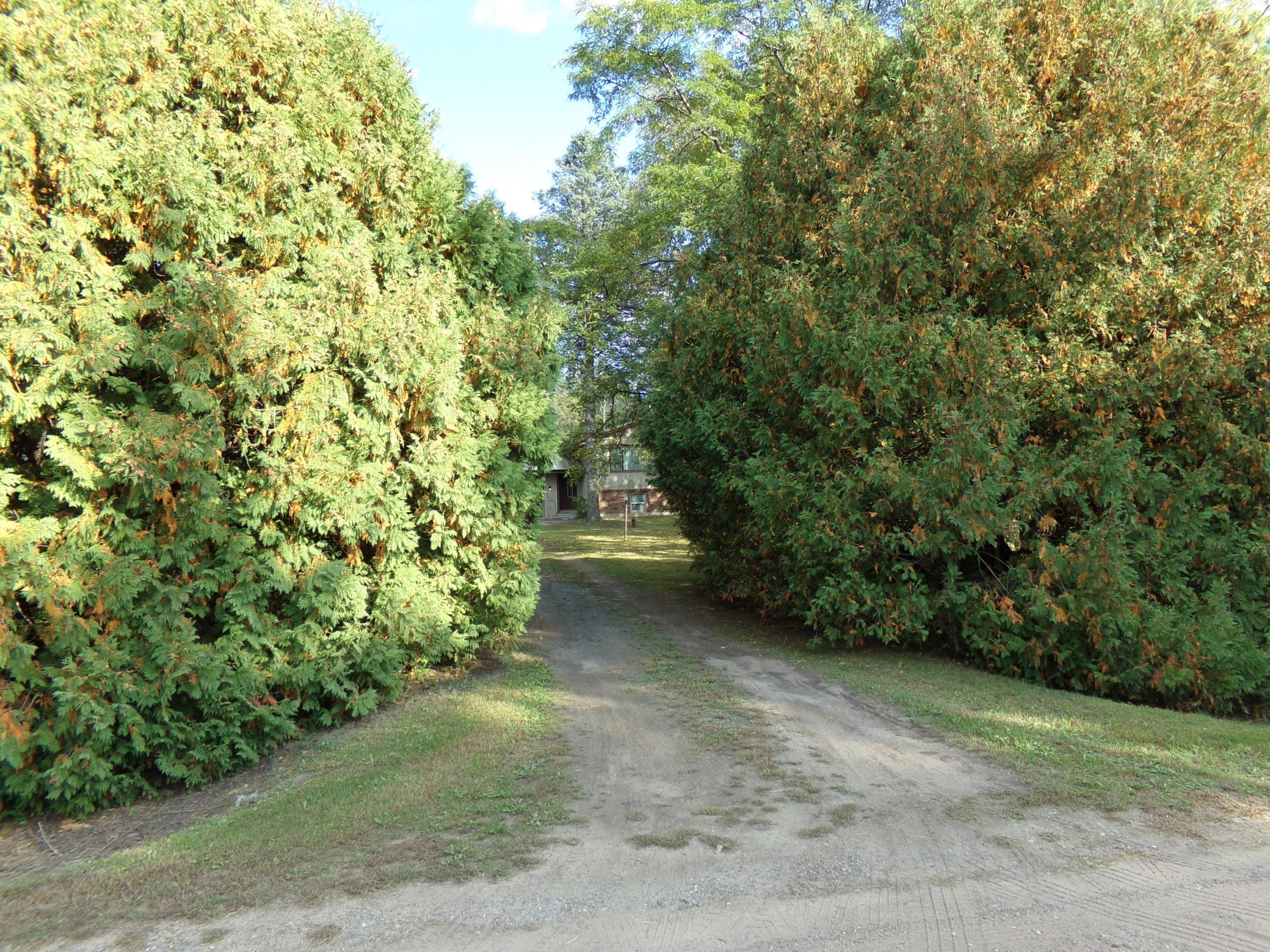 View of Residential at 18323 Elmcrest Avenue, Forest Lake MN 55025, Forest Lake (38 of 40) - Mike Wilen | Minnesota Team Real Estate