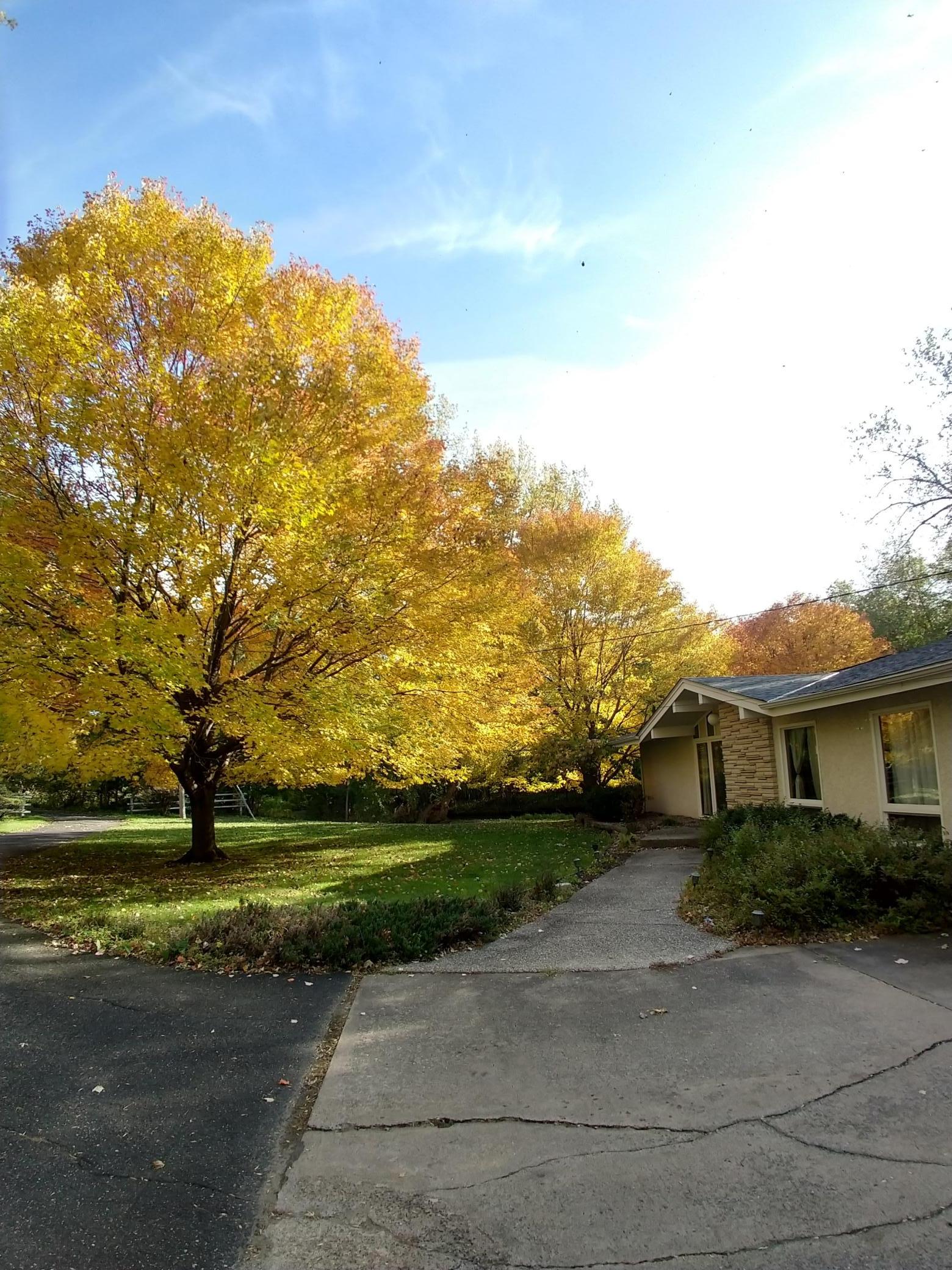 View of Residential at 567 Rice Creek Terrace, Fridley MN 55432, Fridley (20 of 31) - Mike Wilen | Minnesota Team Real Estate