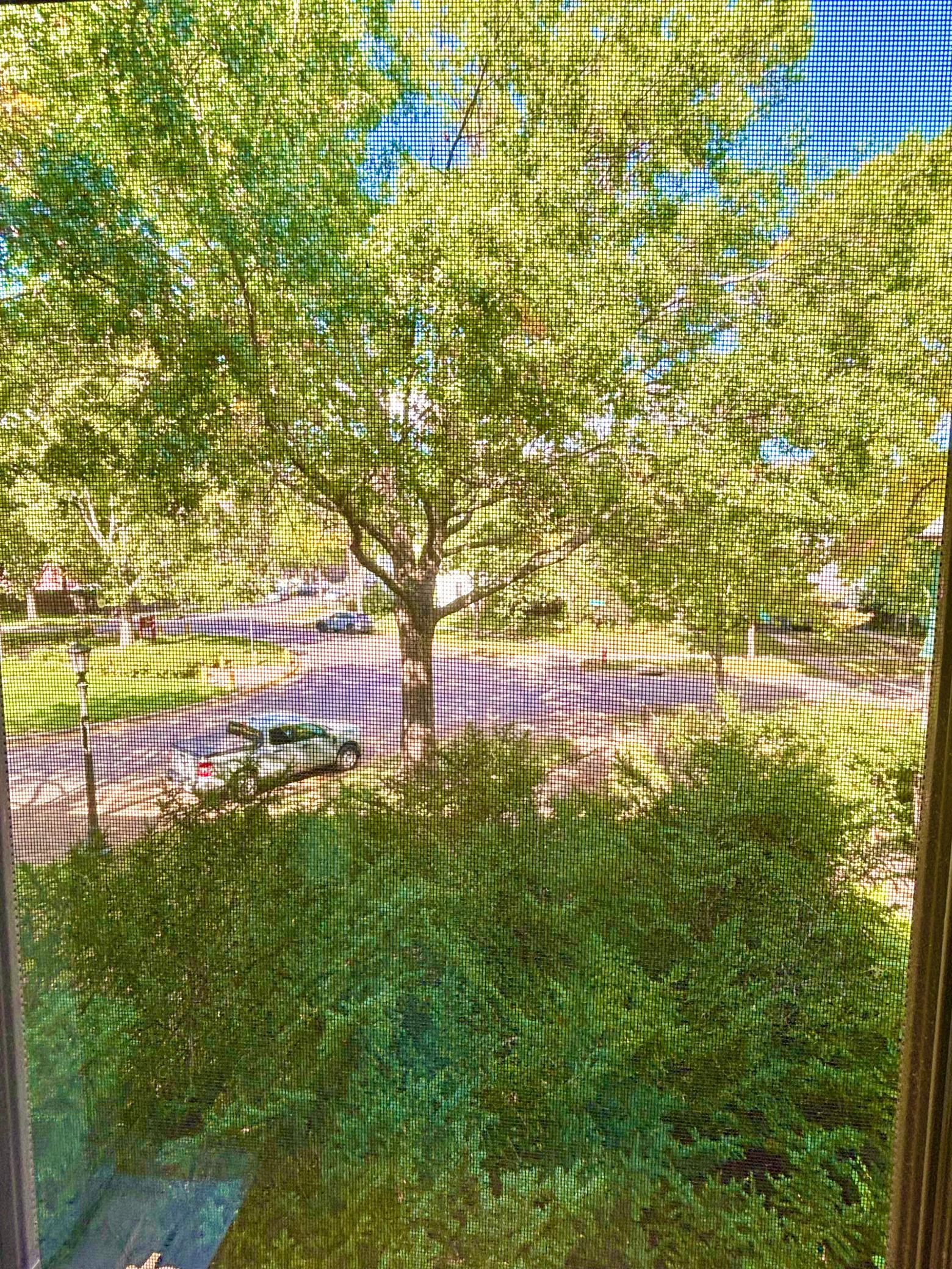 View of Residential at 110 Saint Albans Street #3, Saint Paul MN 55104, Saint Paul (13 of 28) - Mike Wilen | Minnesota Team Real Estate