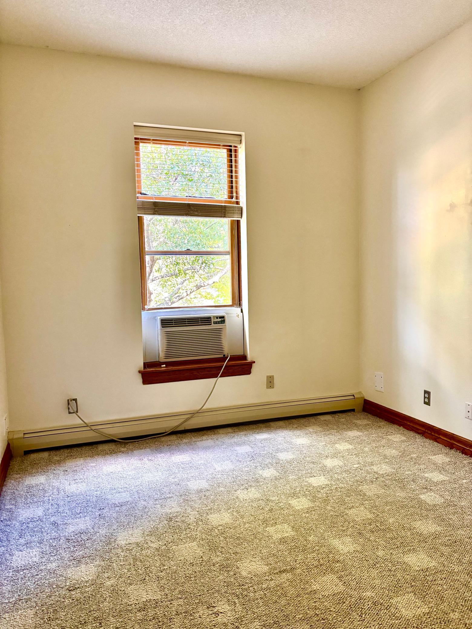 View of Residential at 110 Saint Albans Street #3, Saint Paul MN 55104, Saint Paul (20 of 28) - Mike Wilen | Minnesota Team Real Estate