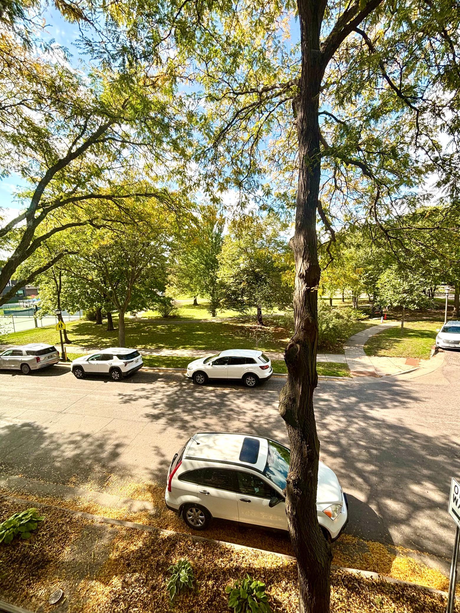 View of Residential at 110 Saint Albans Street #3, Saint Paul MN 55104, Saint Paul (7 of 28) - Mike Wilen | Minnesota Team Real Estate