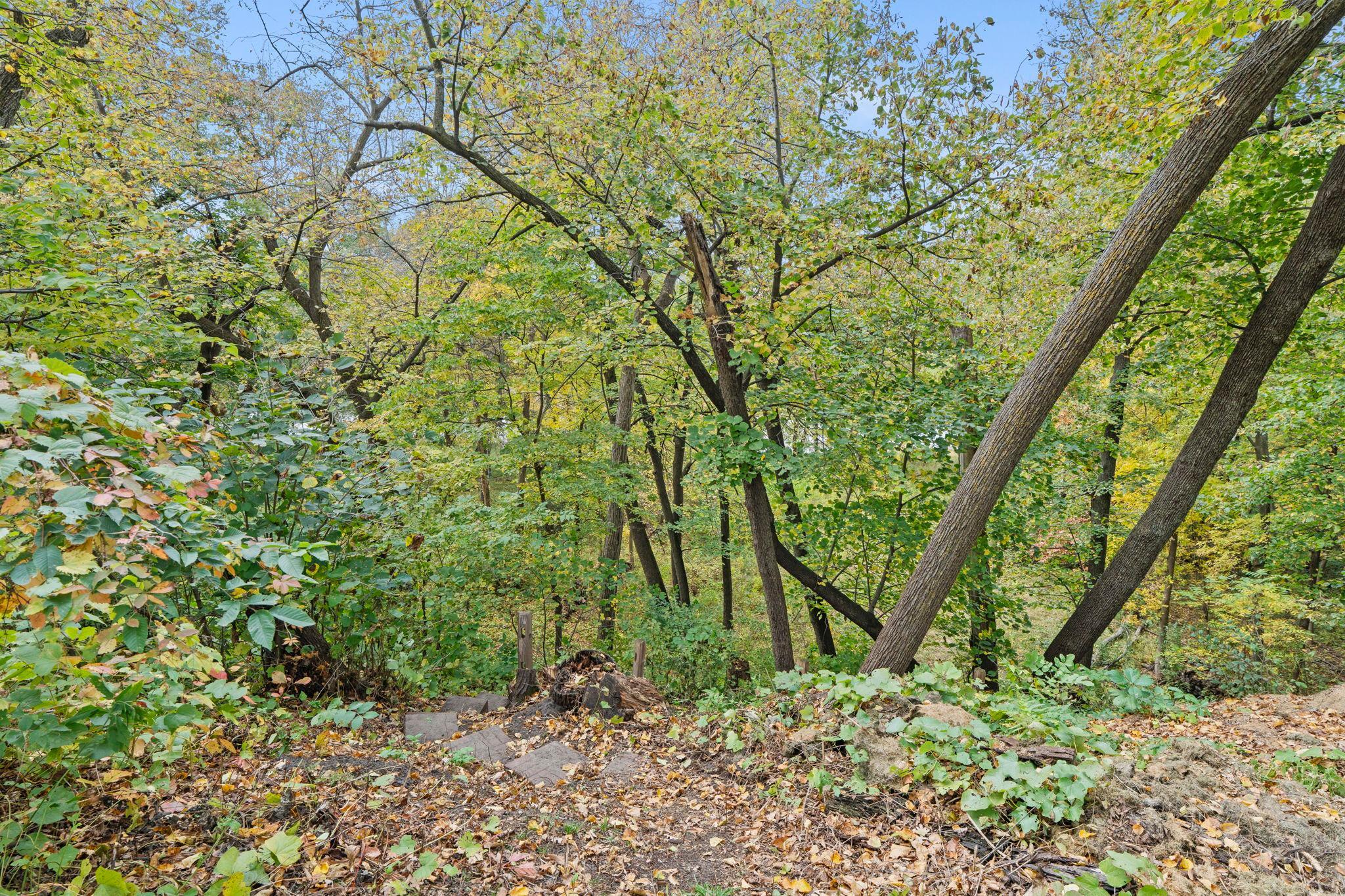 View of Residential at 16796 Yale Street, Elk River MN 55330, Elk River (61 of 88) - Mike Wilen | Minnesota Team Real Estate