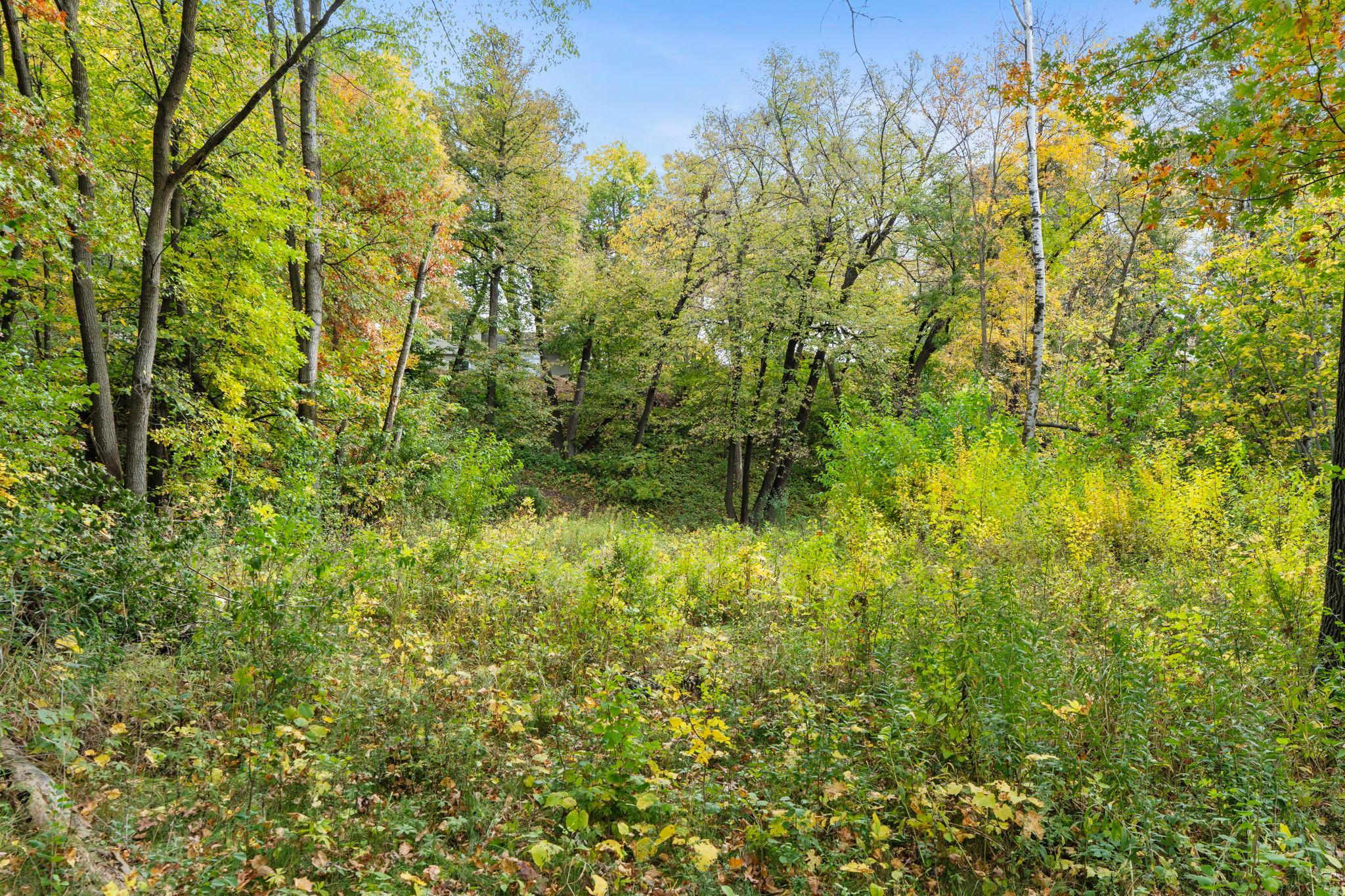 View of Residential at 16796 Yale Street, Elk River MN 55330, Elk River (56 of 88) - Mike Wilen | Minnesota Team Real Estate
