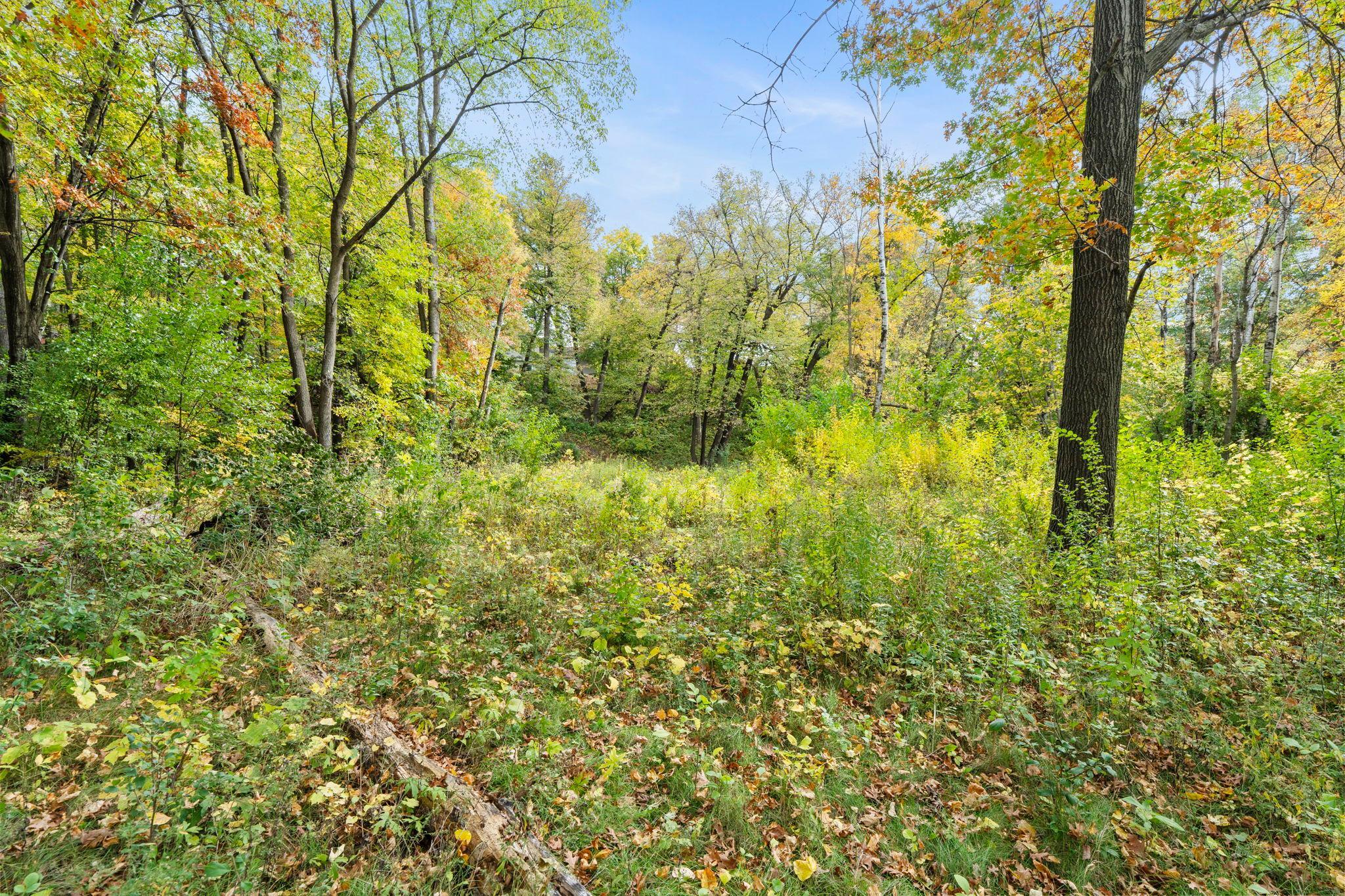 View of Residential at 16796 Yale Street, Elk River MN 55330, Elk River (55 of 88) - Mike Wilen | Minnesota Team Real Estate